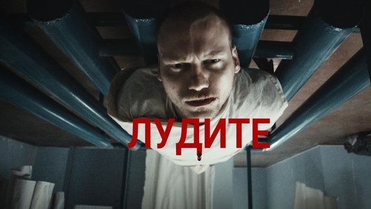 БожеВільні