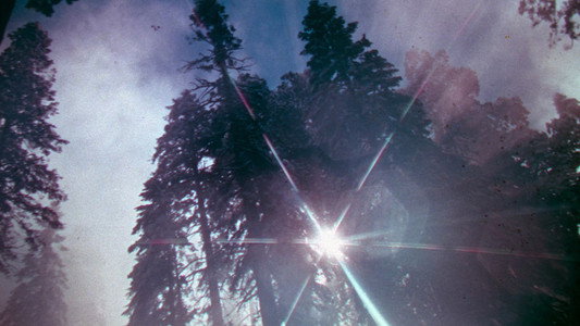 The Parallax View