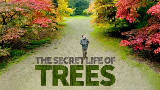 The Secret Life of Trees