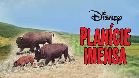 The Vanishing Prairie