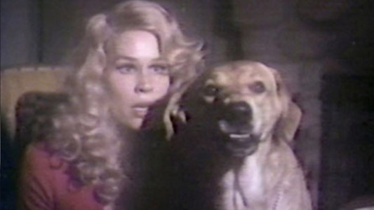 The Strange Possession of Mrs. Oliver