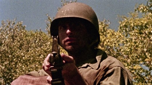 Combat Shock