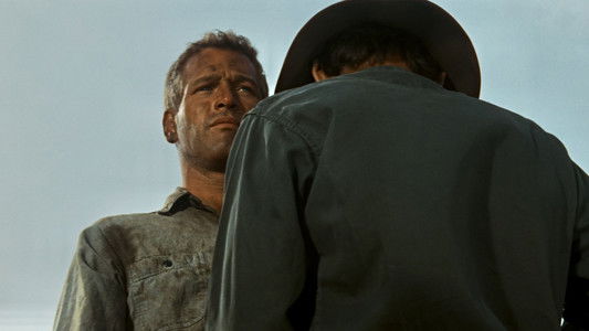 Cool Hand Luke