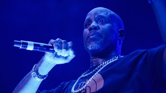 DMX: Don't Try to Understand