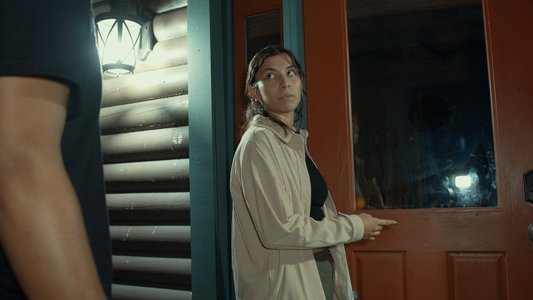 The Last Cabin