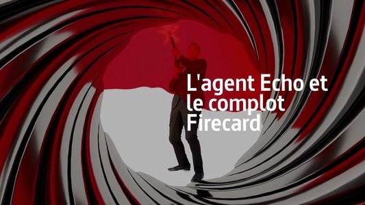 Agent Echo und die Firecard-Verschwörung