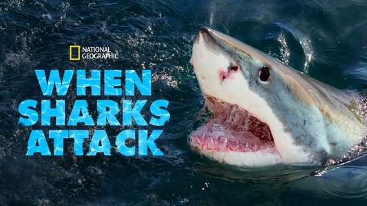 When Sharks Attack