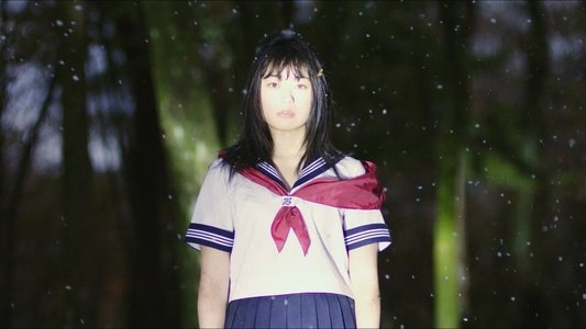 アンチポルノ