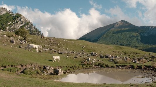 Il buco