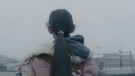 大象席地而坐