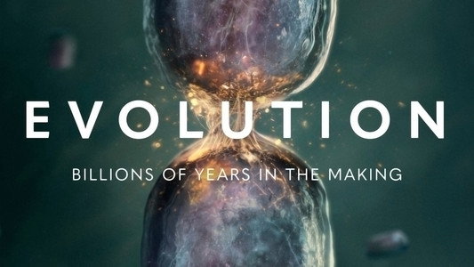 Evolution