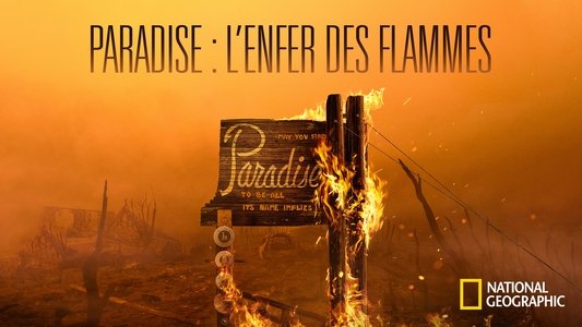 Rebuilding Paradise
