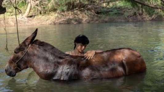 La arriera