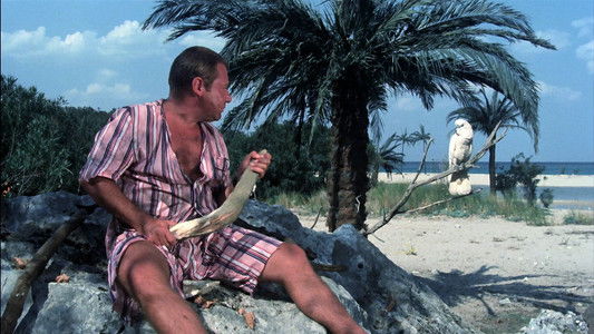 Il signor Robinson - Mostruosa storia d'amore e d'avventure