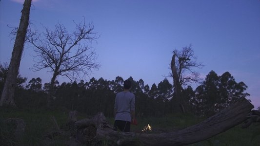 Xadrez Espelhado