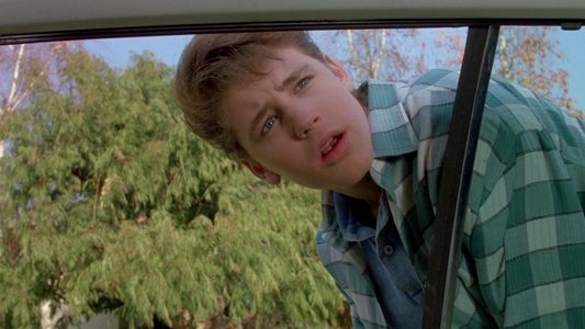 License to Drive