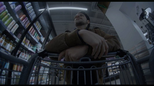 Shelf Life