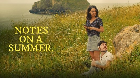 Notas sobre un verano