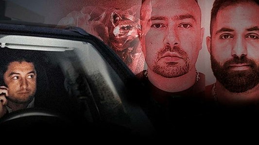 Uppdrag Granskning : En gång bröder