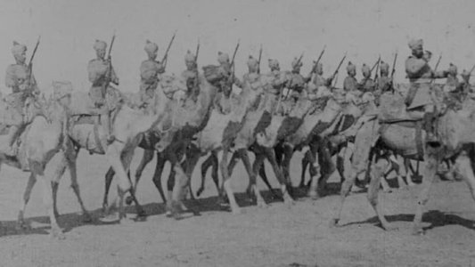 Delhi Durbar