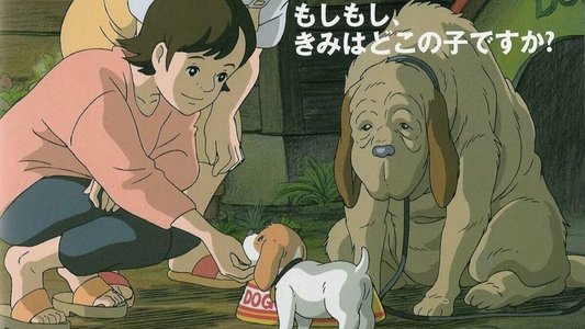 コロの大さんぽ