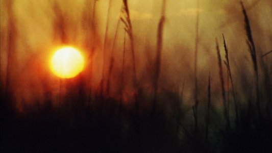 Sun Don't Shine