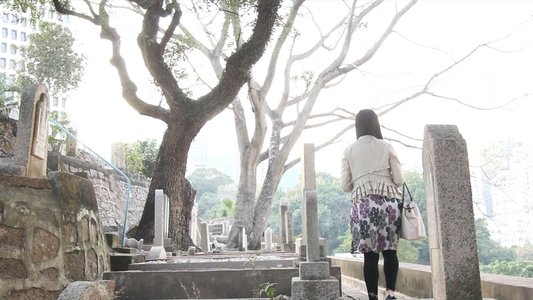 由百輝（男）到雪綾（女）