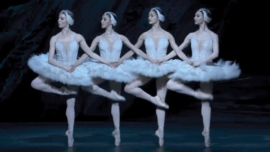 Swan Lake