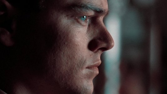 The Aviator