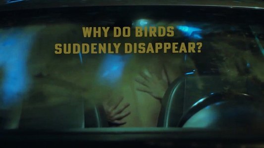 Why Do Birds Suddenly Disappear?