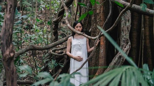 ฮาลาบาลา ป่าจิตหลุด
