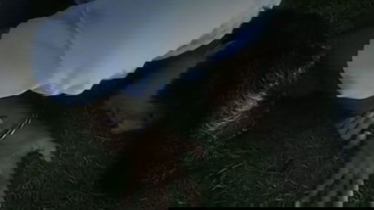 天上の青