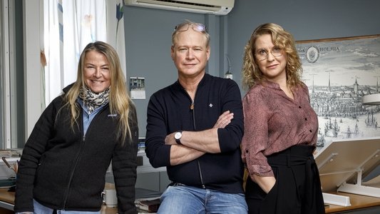 Den osannolika mördaren