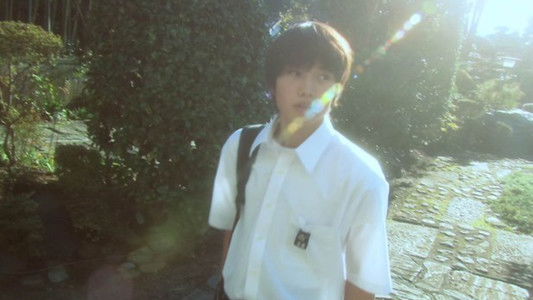 リリイ・シュシュのすべて