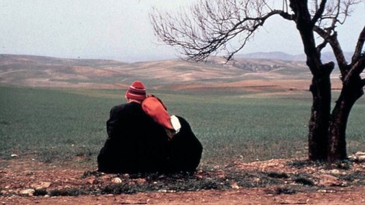 Automne, Octobre À Alger