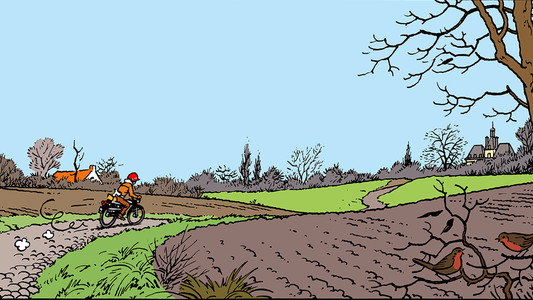 Tintin et les Picaros