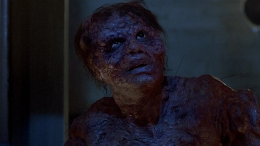 The Fly