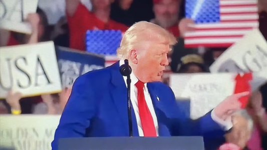 The Victims (or 100 and some days in MAGA America)