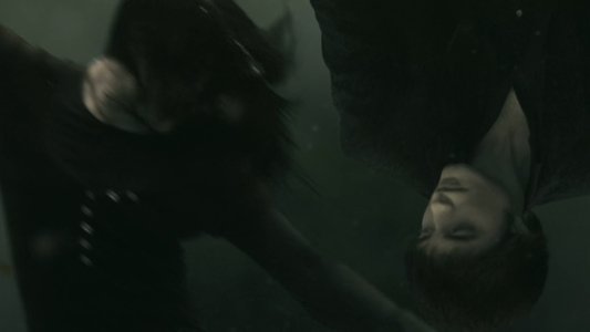 The Twilight Saga: New Moon