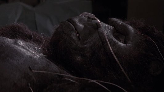 King Kong Lives