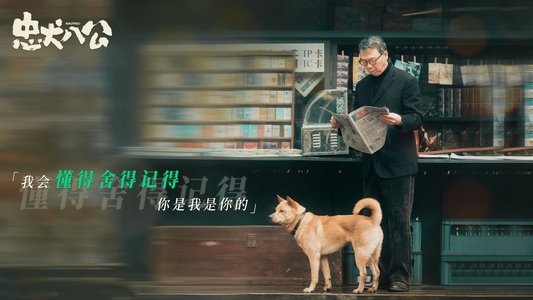 忠犬八公