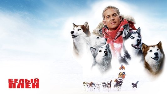 Eight Below