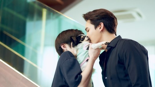 ดื้อเฮียก็หาว่าซน