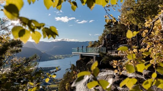 Fedrelandet