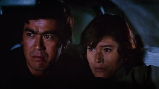 逆襲！殺人拳