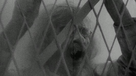 Vampyr - Der Traum des Allan Grey