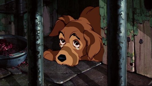 Lady and the Tramp