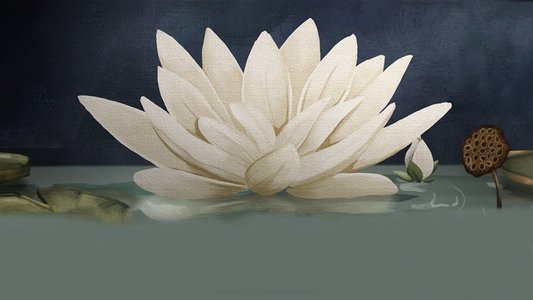 The White Lotus