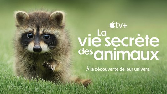 The Secret Lives of Animals