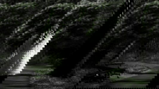 Nyctophobia